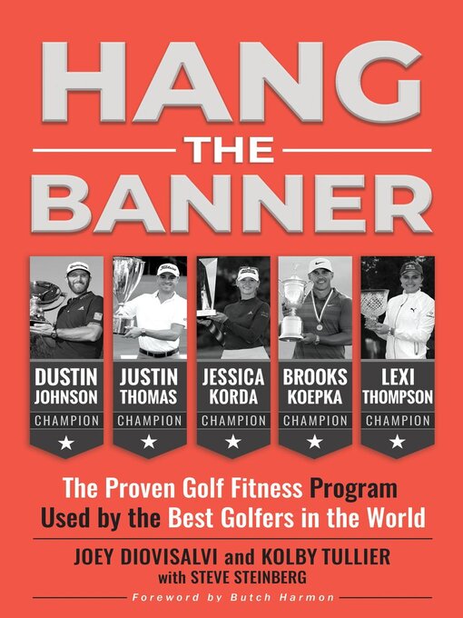 Title details for Hang the Banner by Joey Diovisalvi - Available